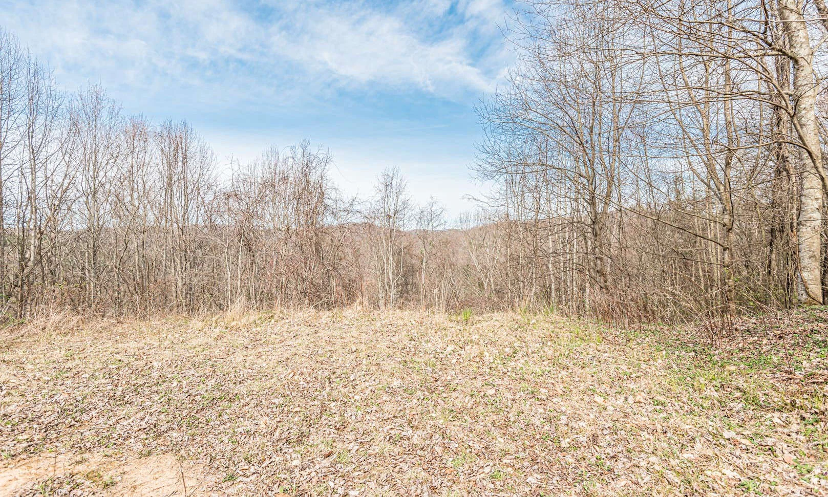 Image number 1 for the current listing