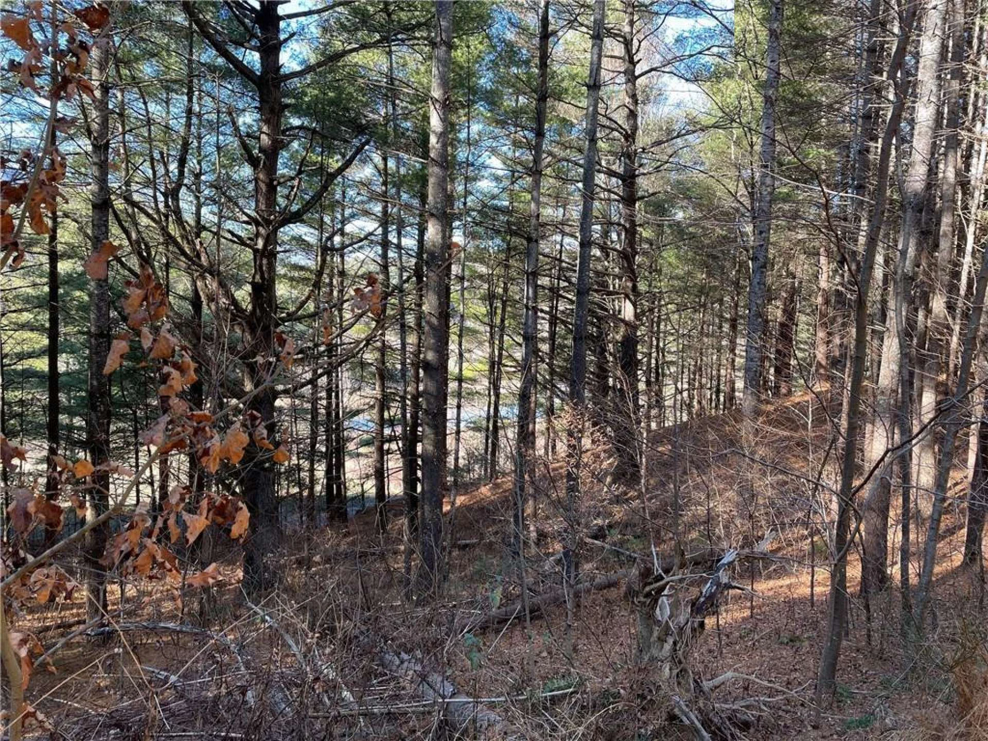 Image number 3 for the current listing