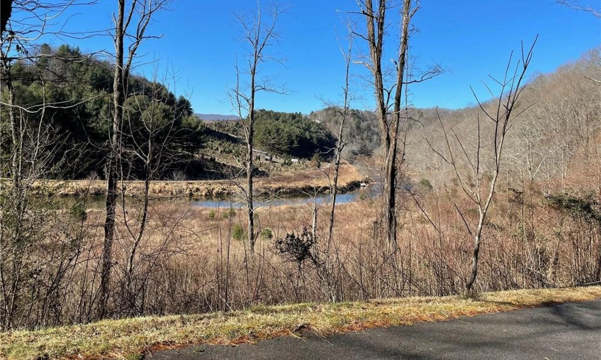 Image number 1 for the current listing