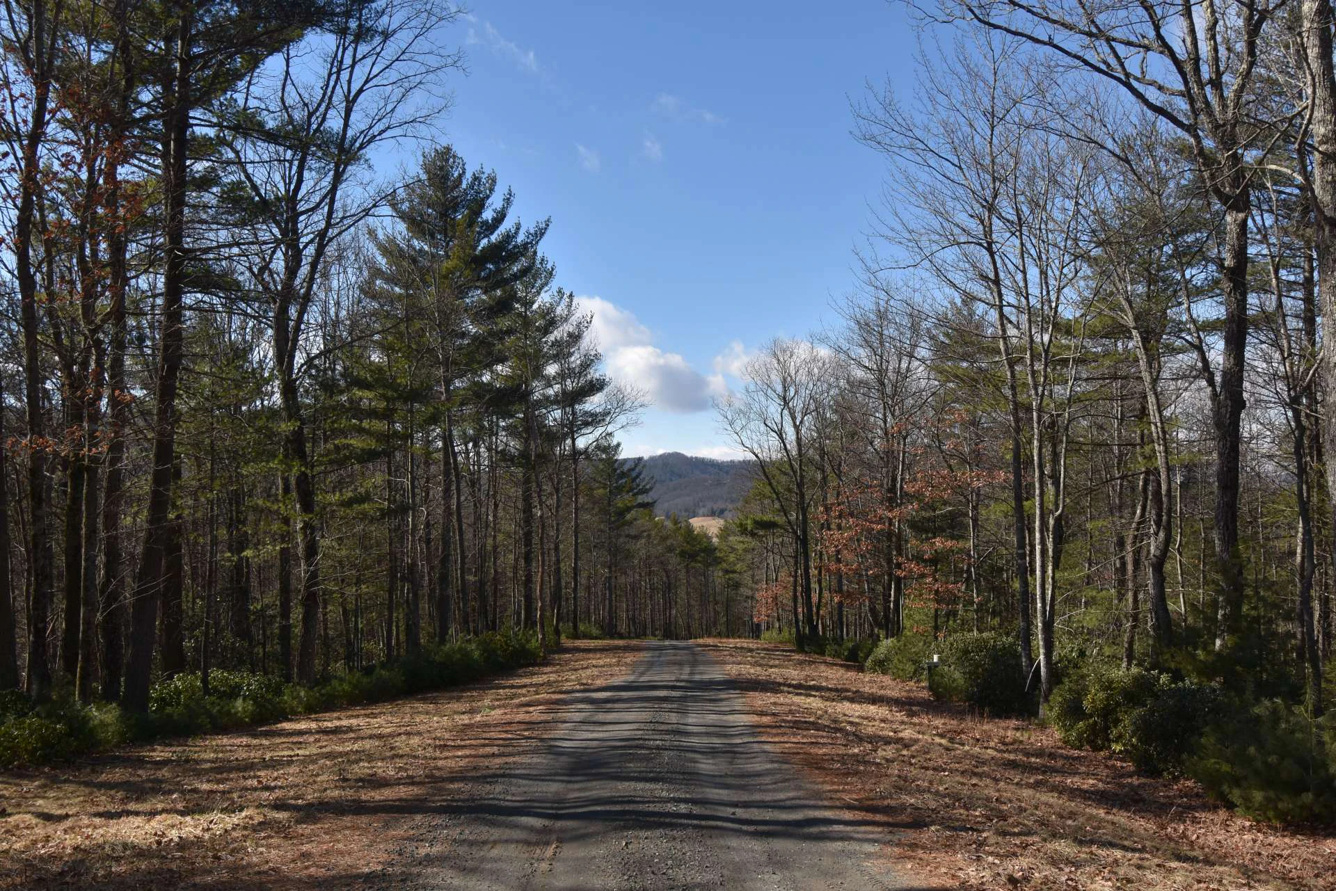 Image number 3 for the current listing