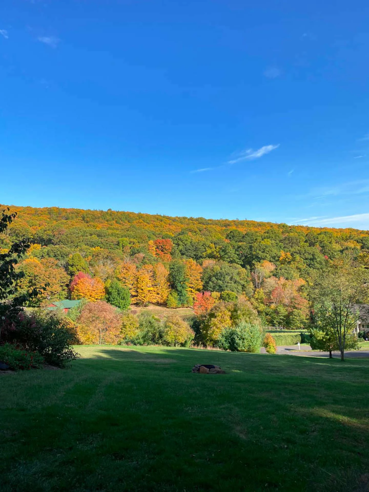 Image number 4 for the current listing