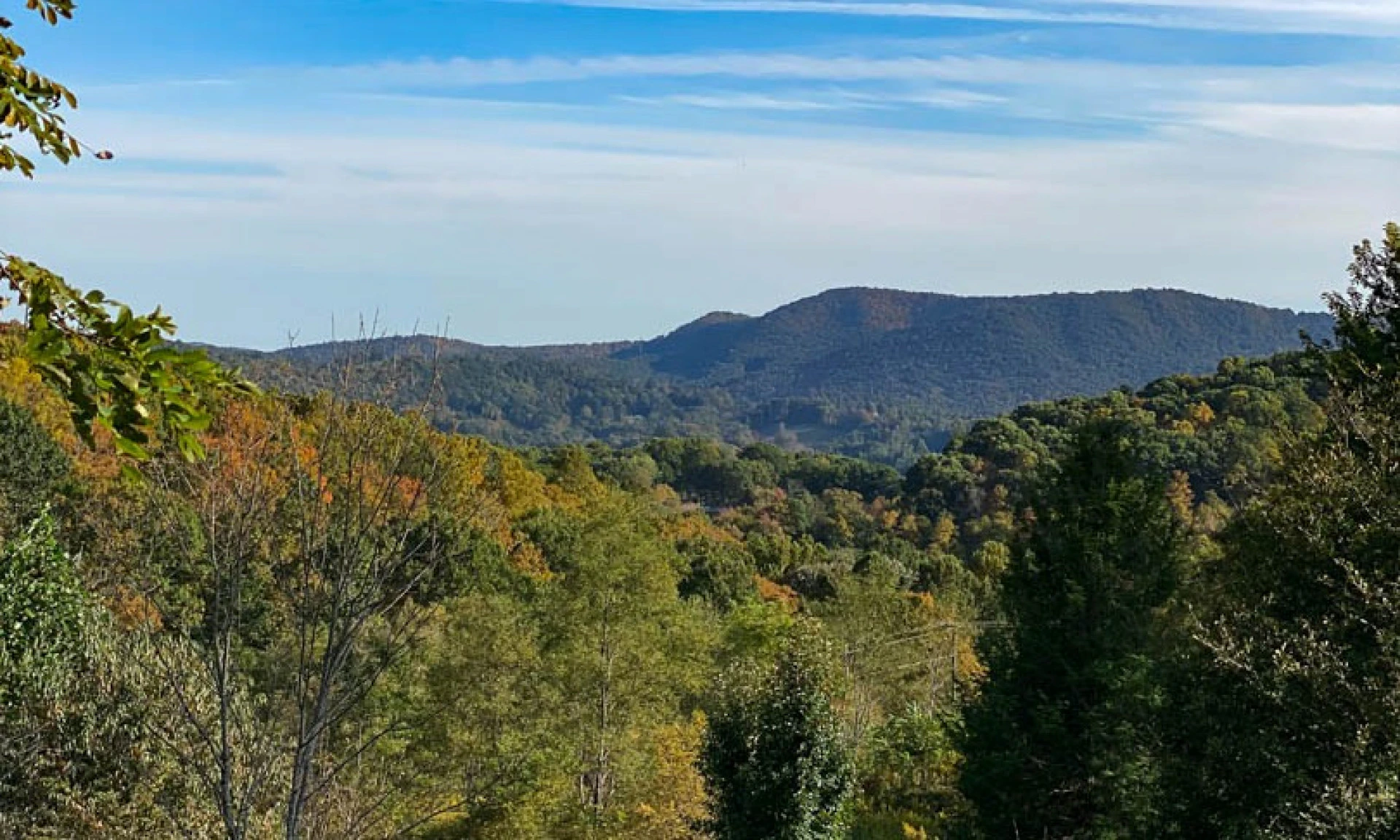 Image number 1 for the current listing