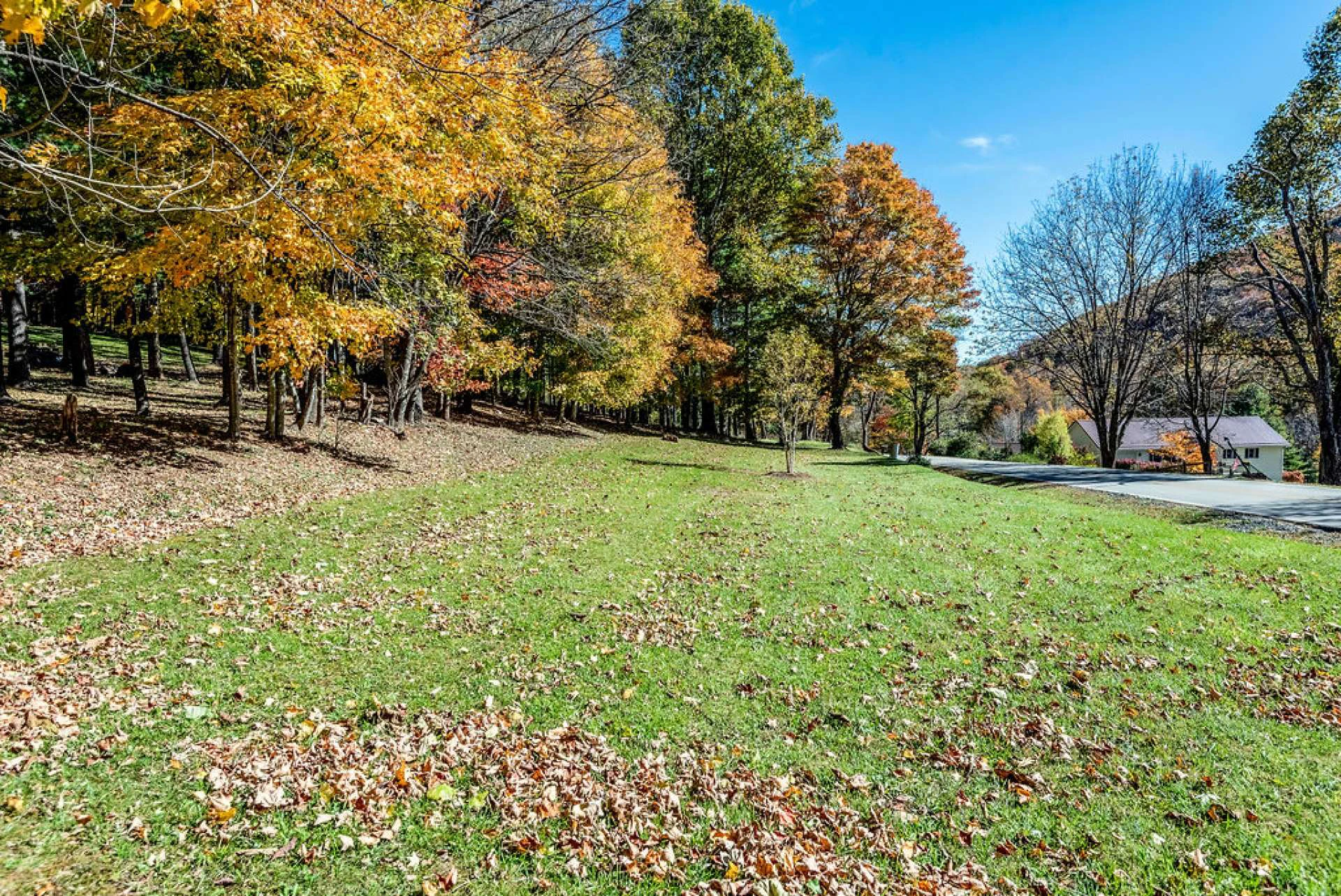 Image number 9 for the current listing