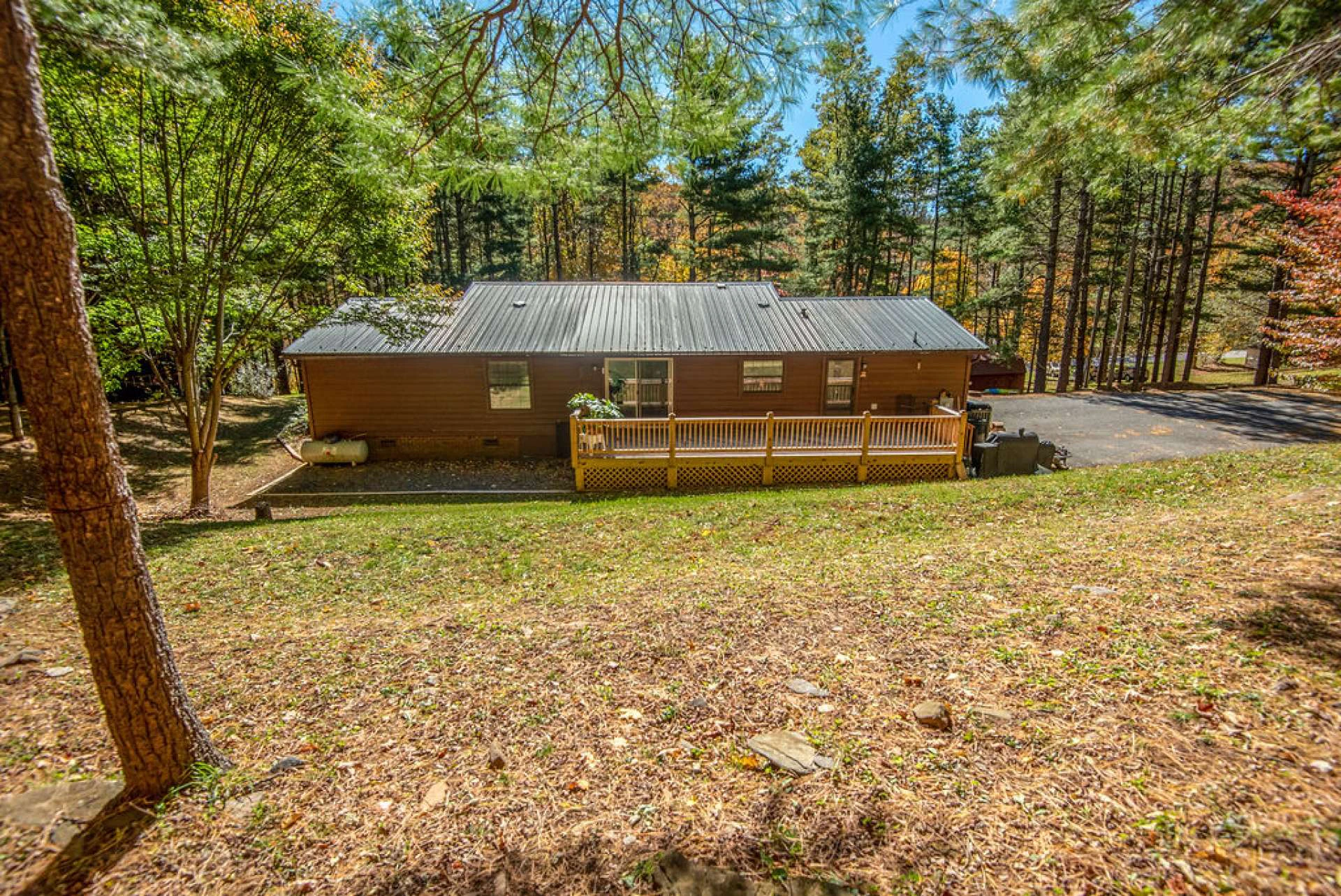 Image number 11 for the current listing