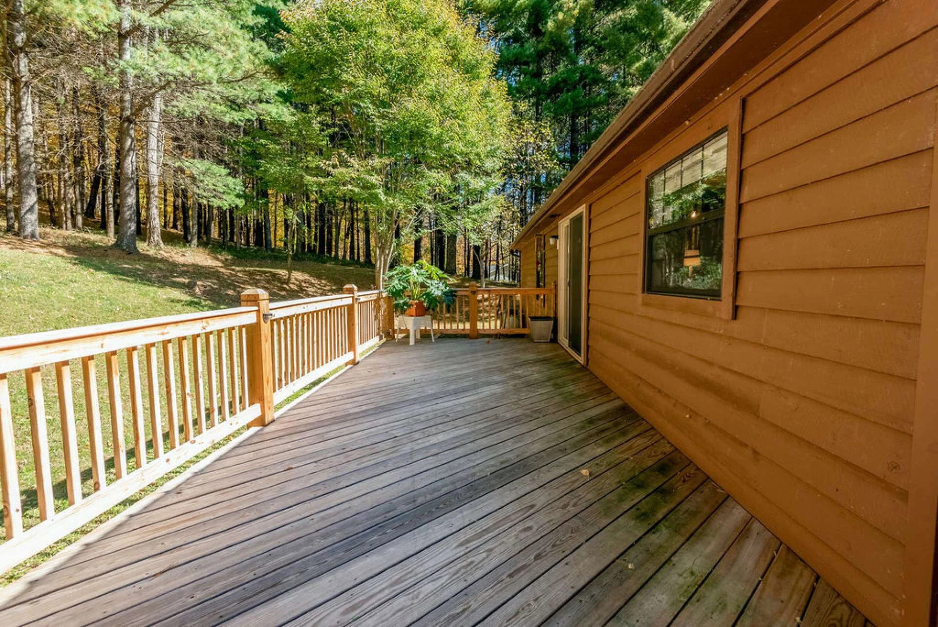 Image number 12 for the current listing