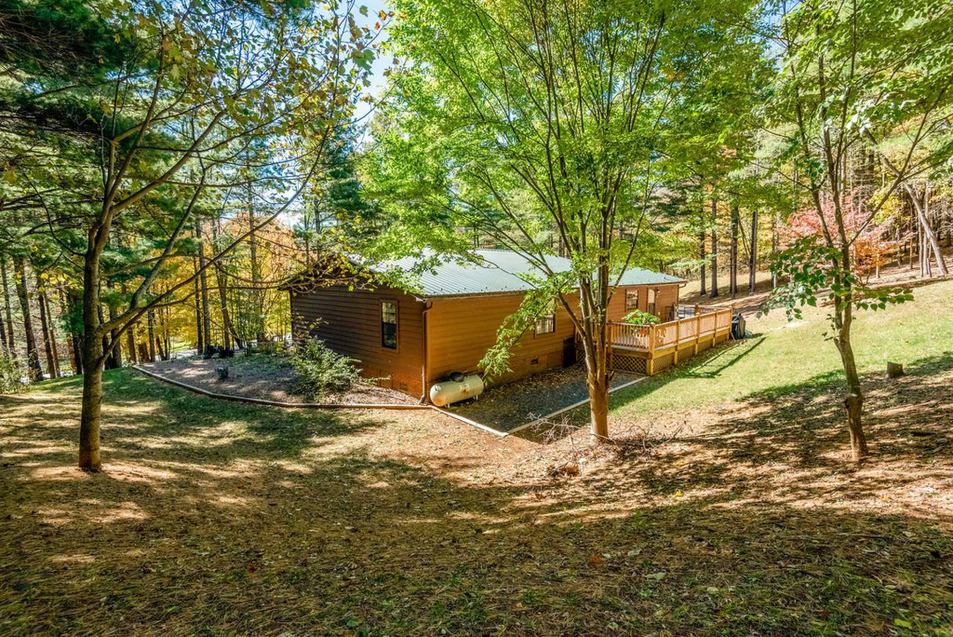 Image number 13 for the current listing