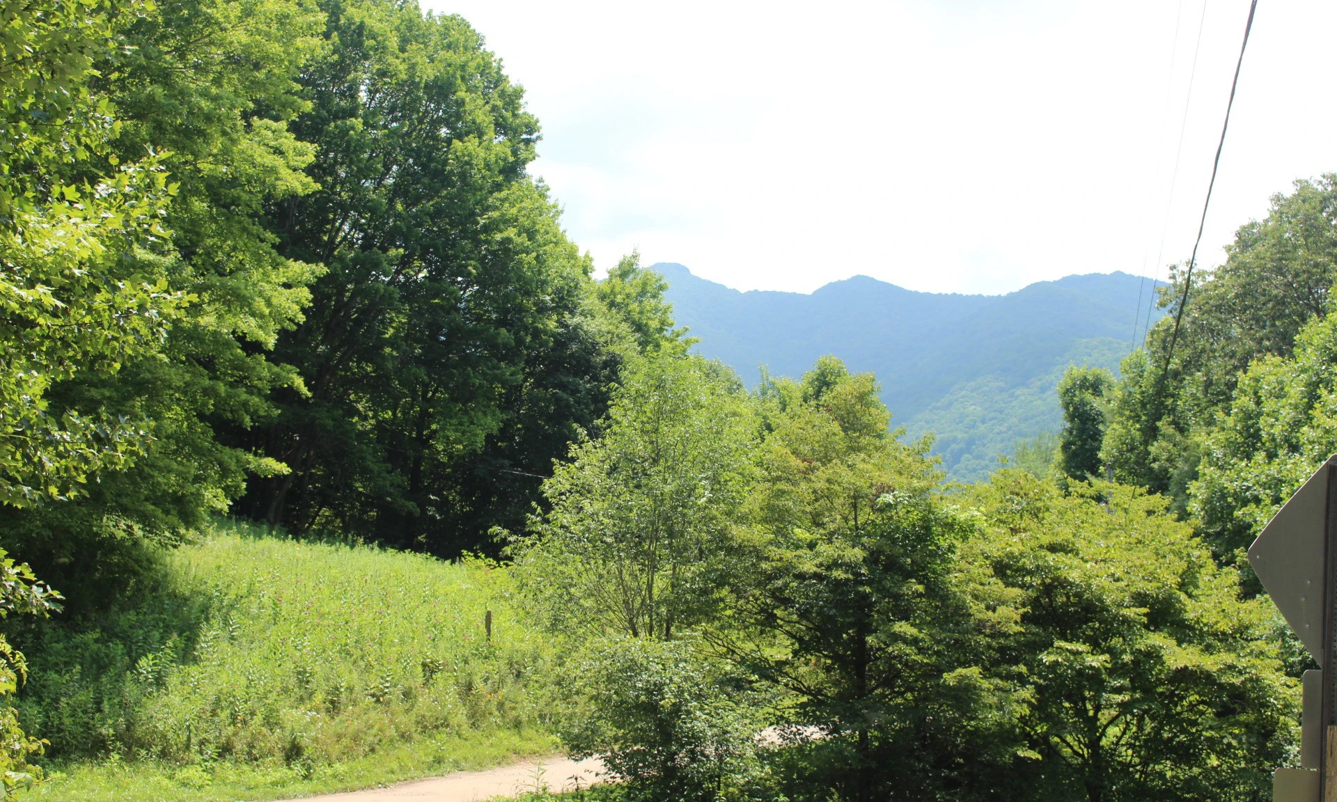 Image number 1 for the current listing