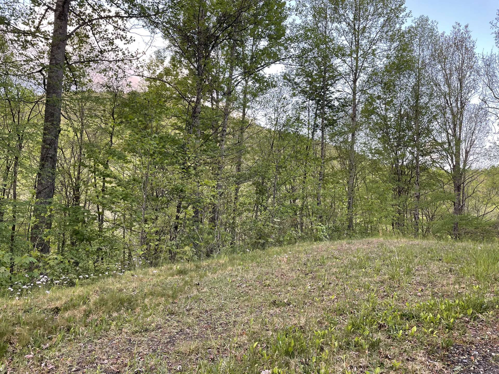Image number 10 for the current listing