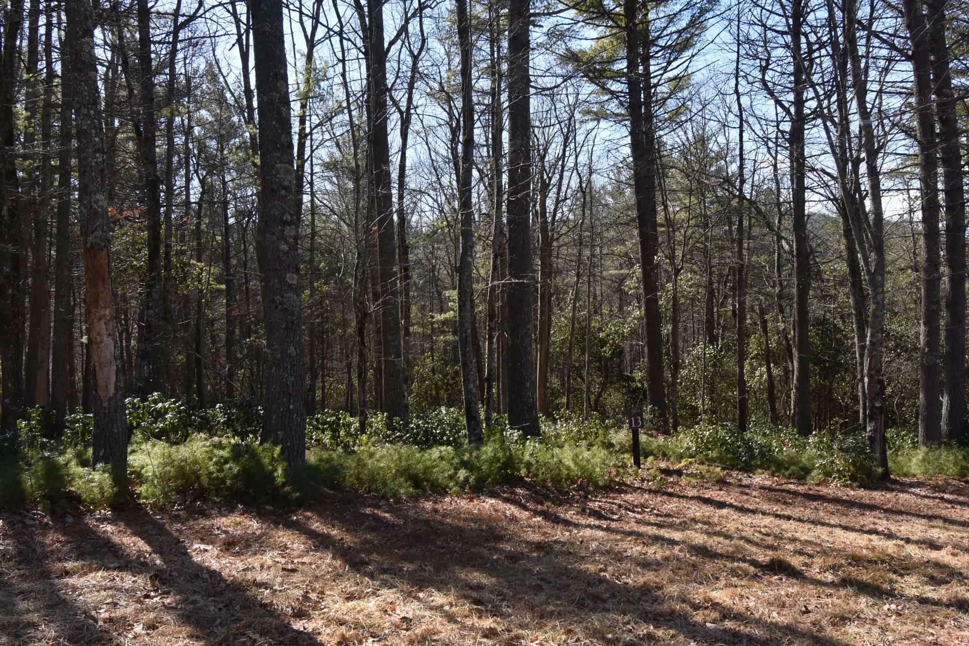 Image number 3 for the current listing
