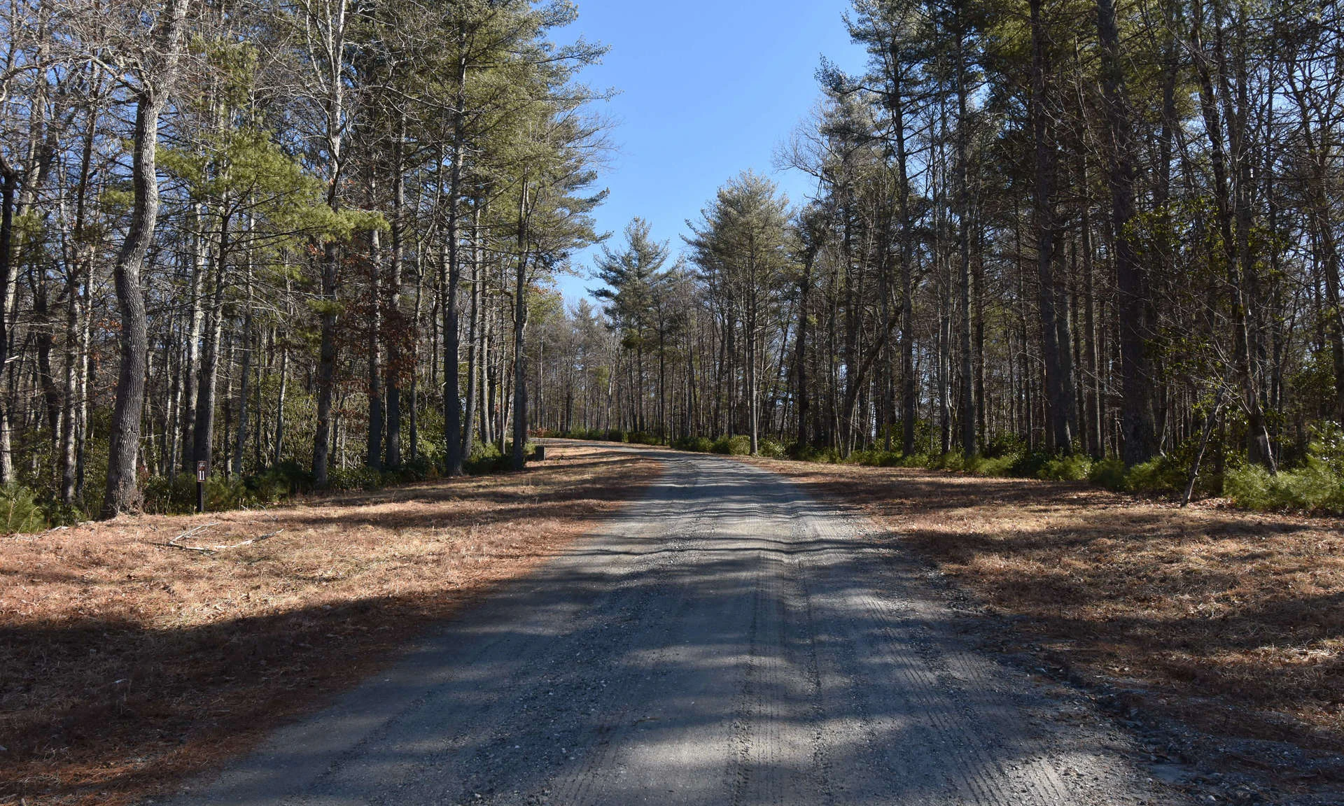 Image number 1 for the current listing