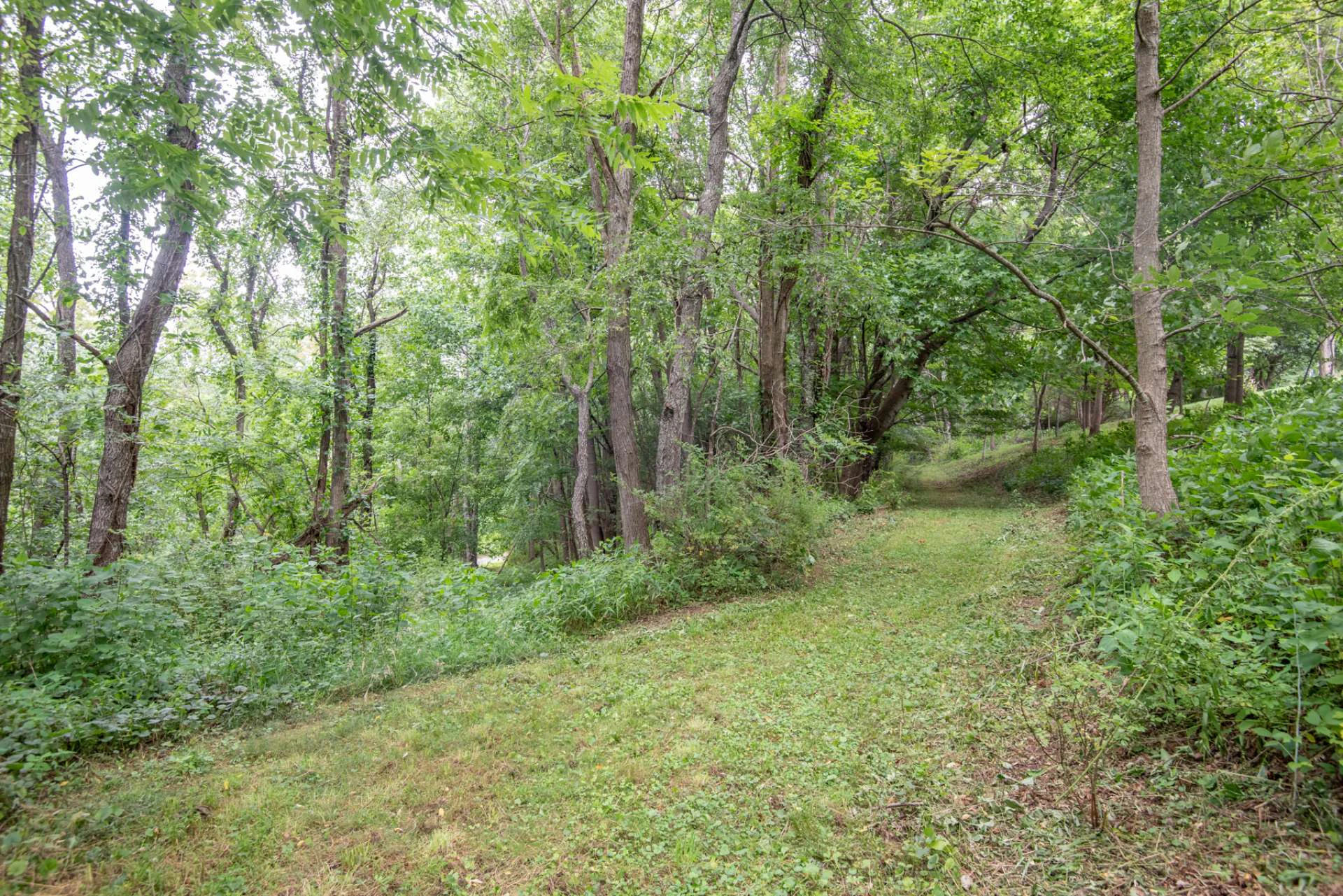 Image number 5 for the current listing