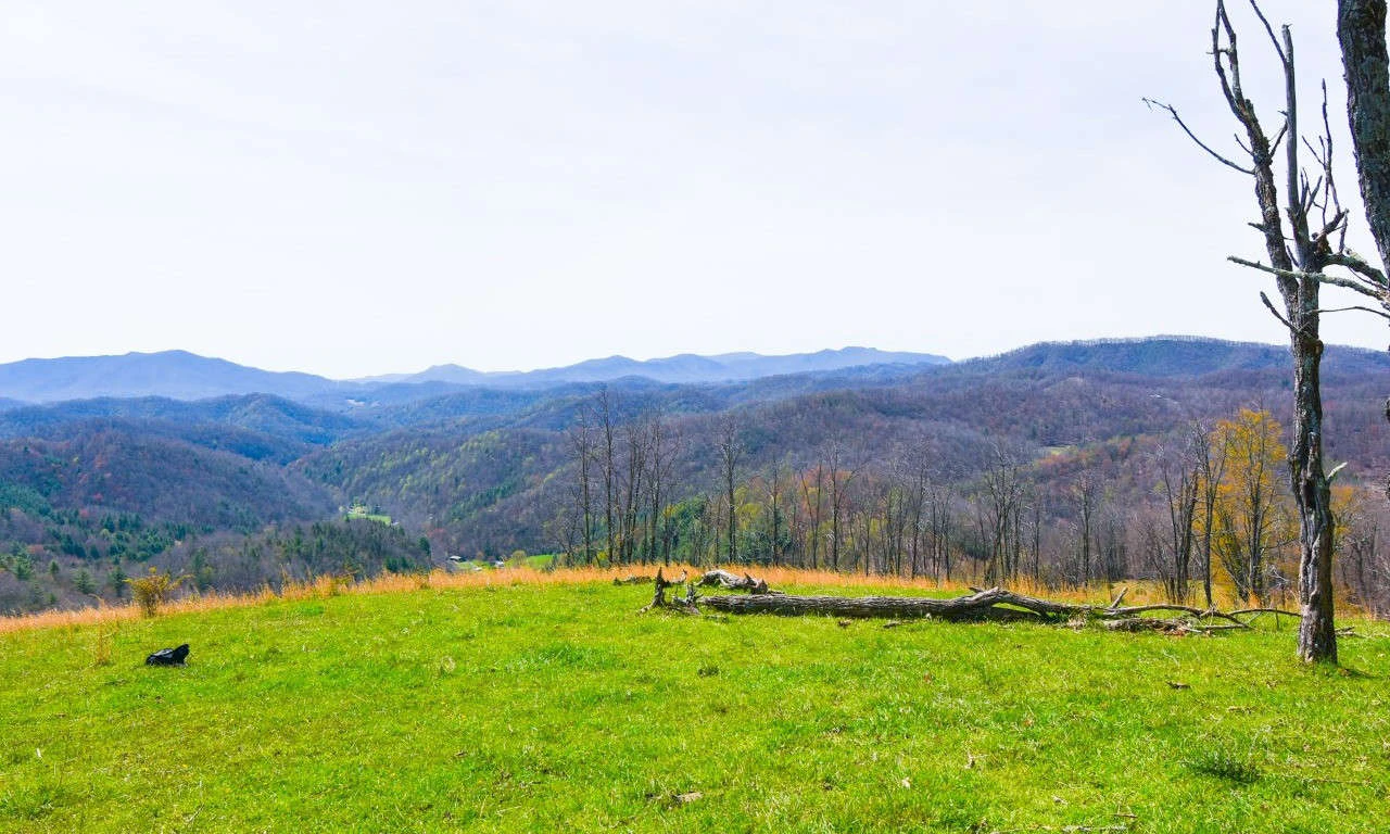 Image number 1 for the current listing