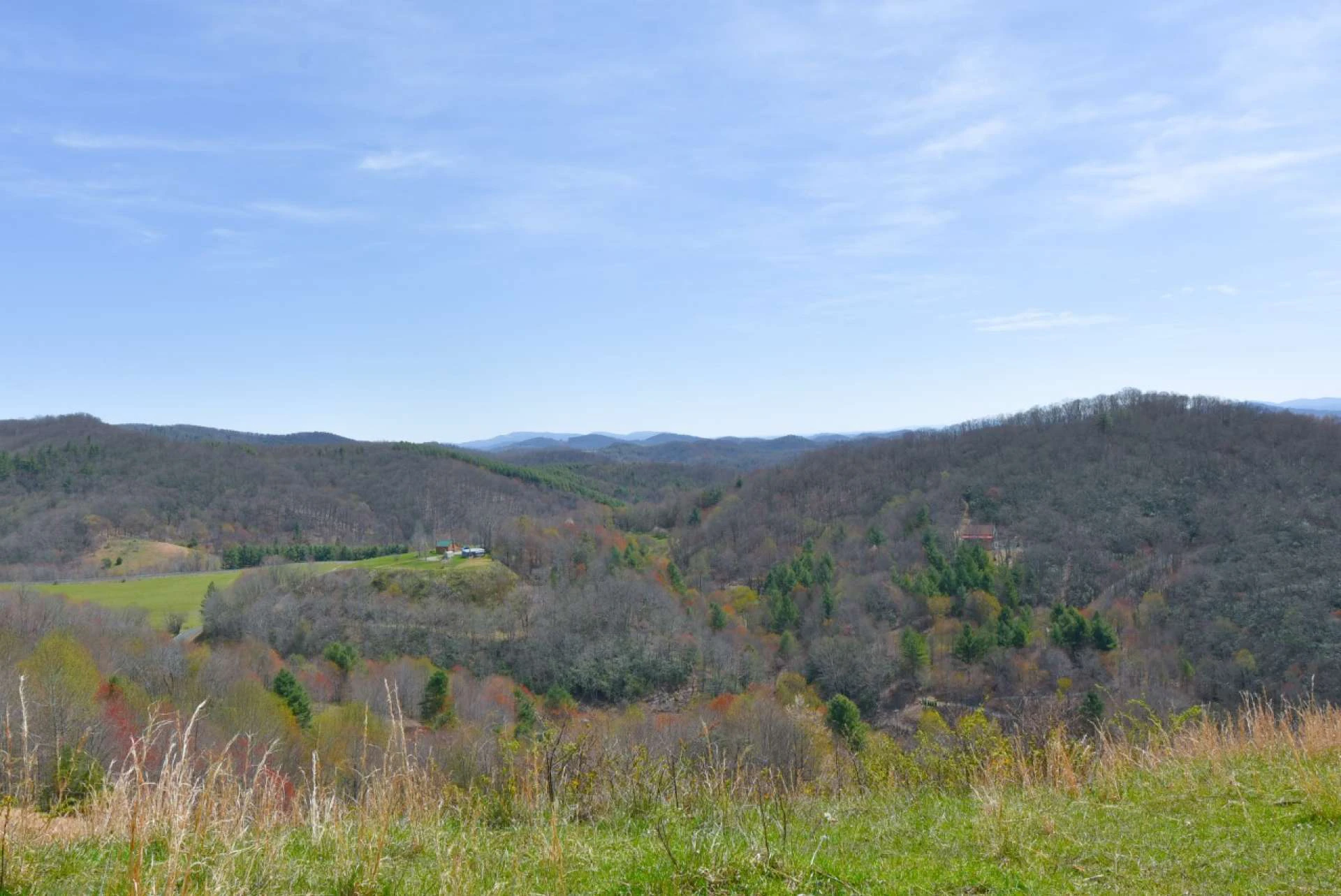 Image number 6 for the current listing