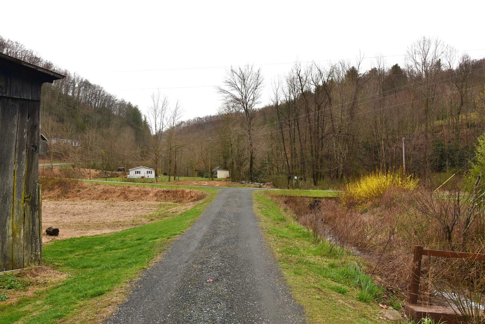 Image number 5 for the current listing