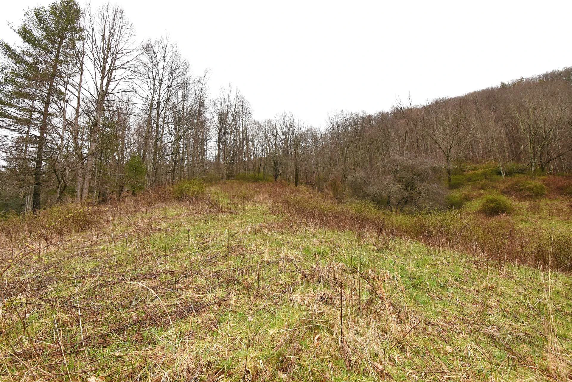 Image number 3 for the current listing
