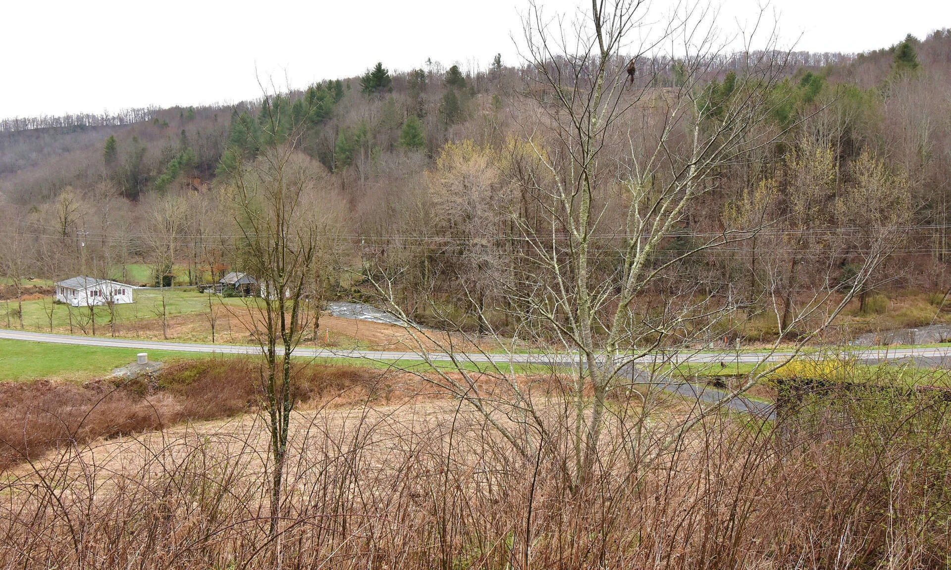 Image number 1 for the current listing