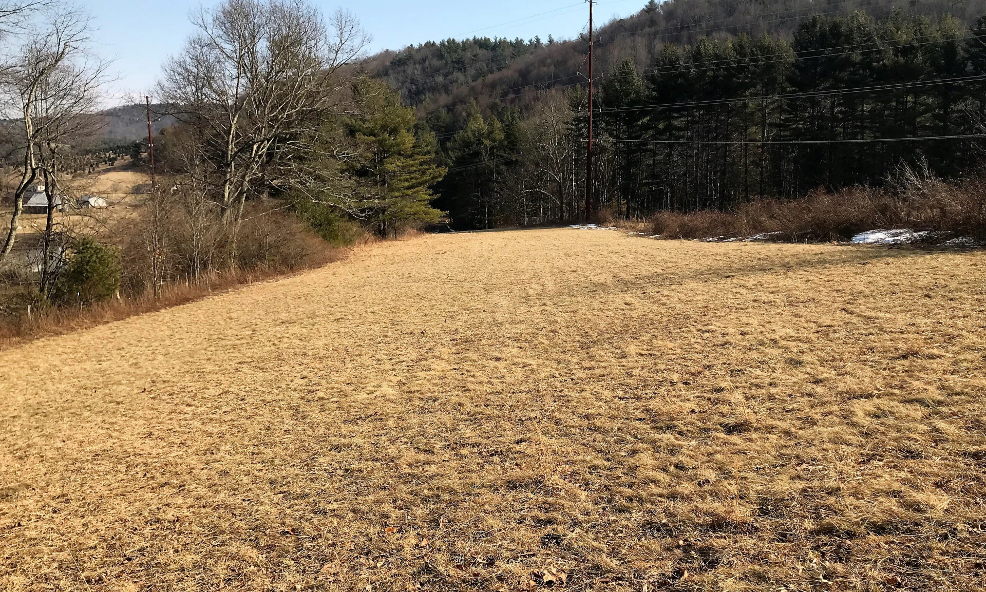 Image number 1 for the current listing