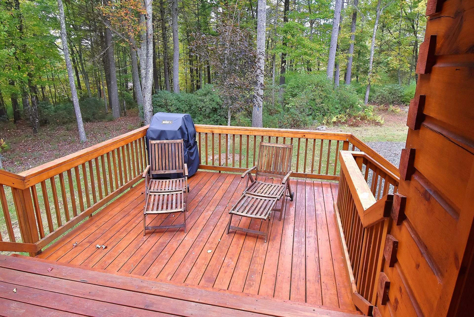 Image number 5 for the current listing