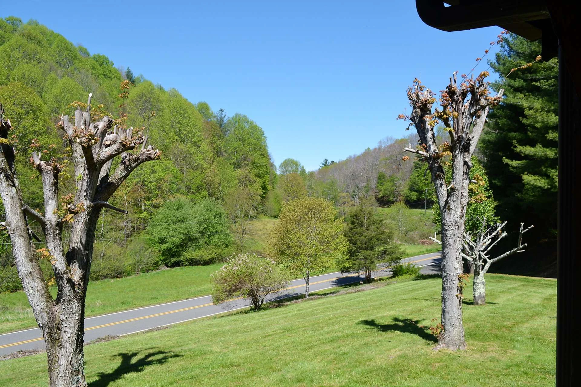 Image number 19 for the current listing
