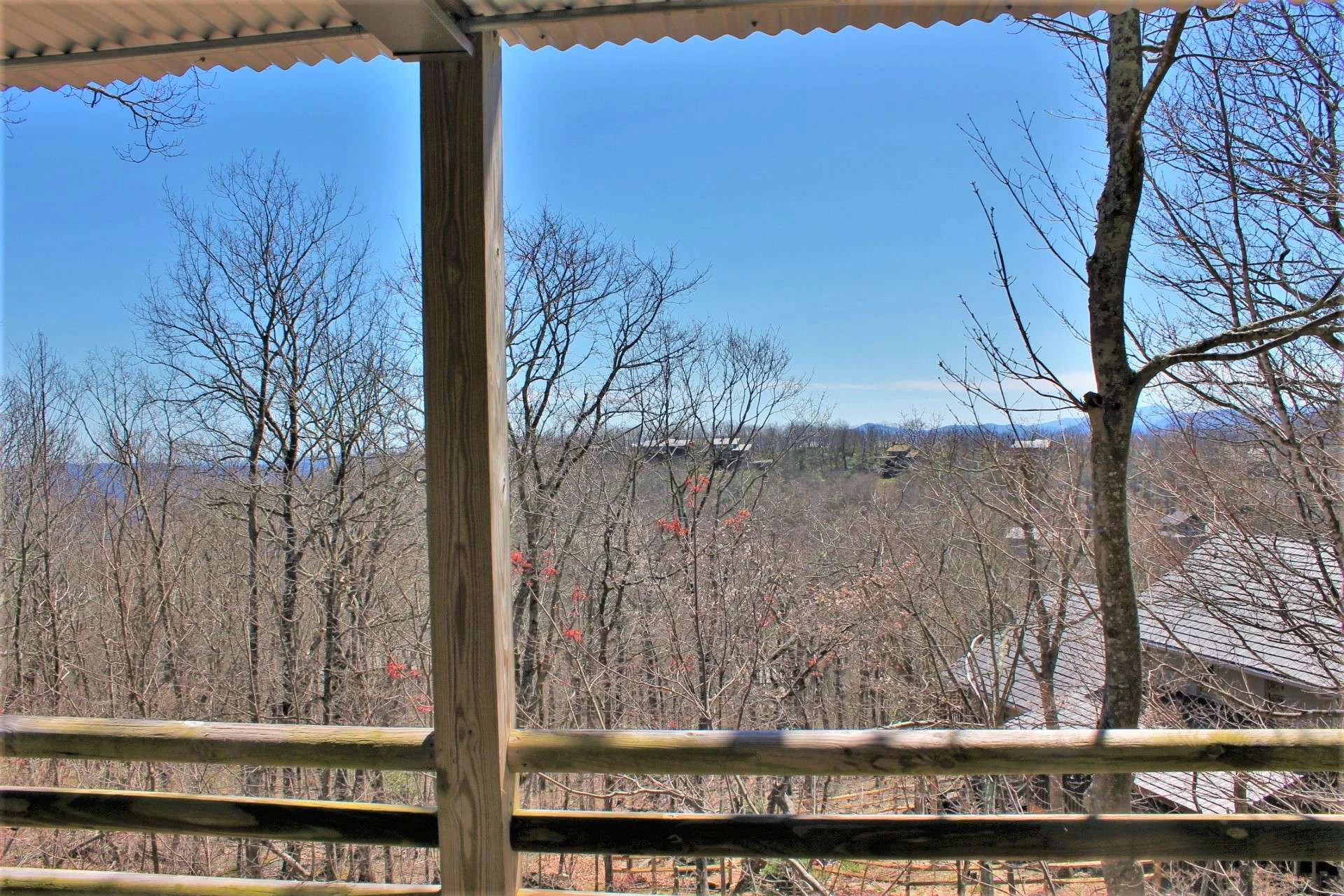 Image number 14 for the current listing