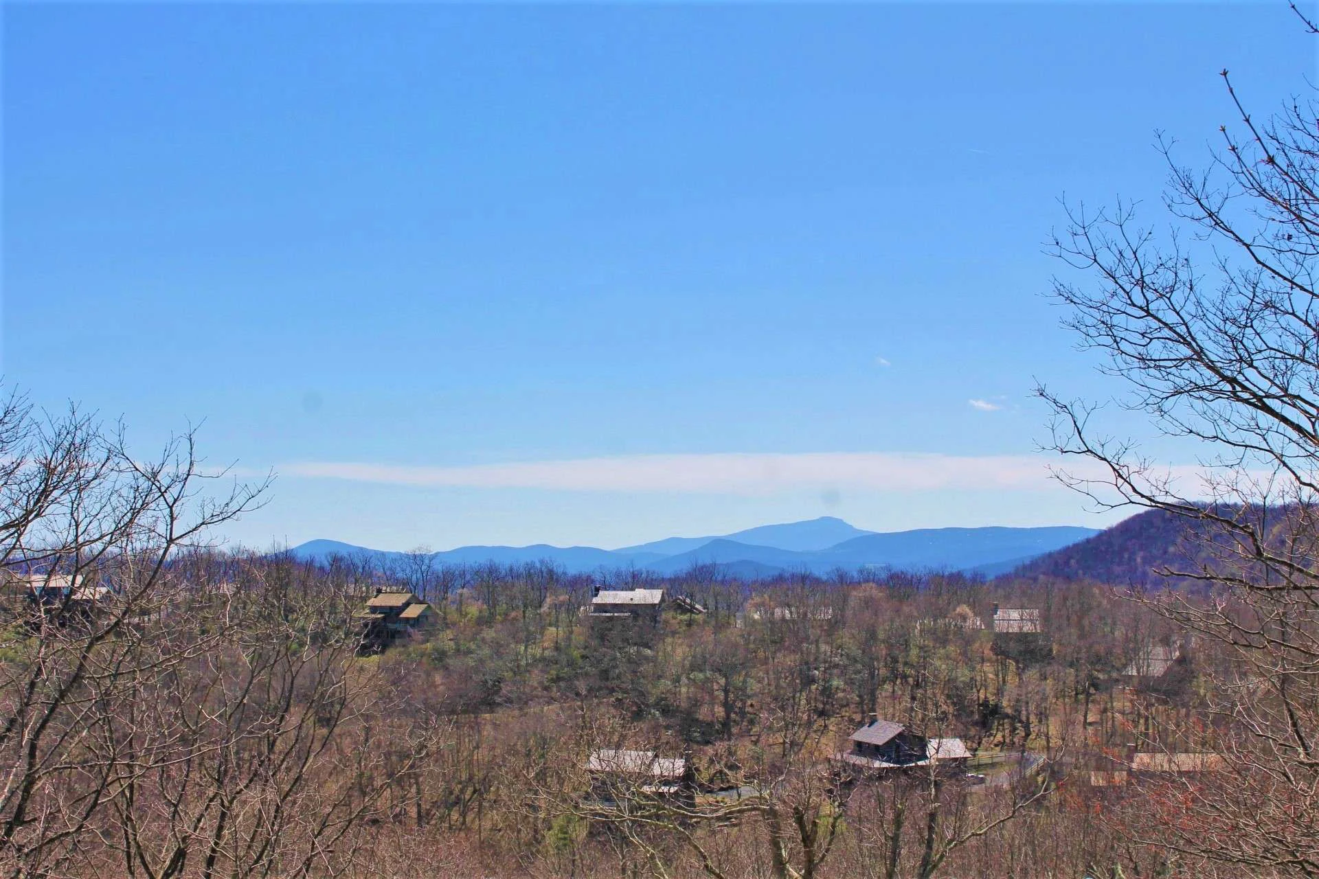 Image number 8 for the current listing
