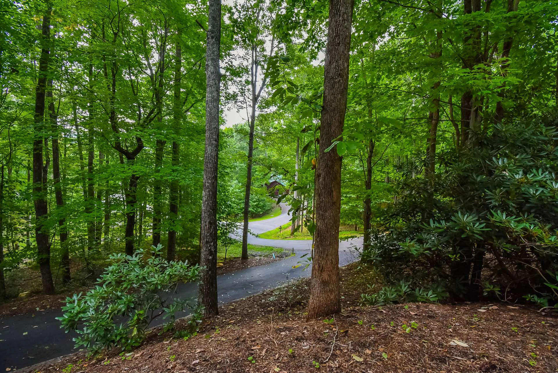 Image number 4 for the current listing