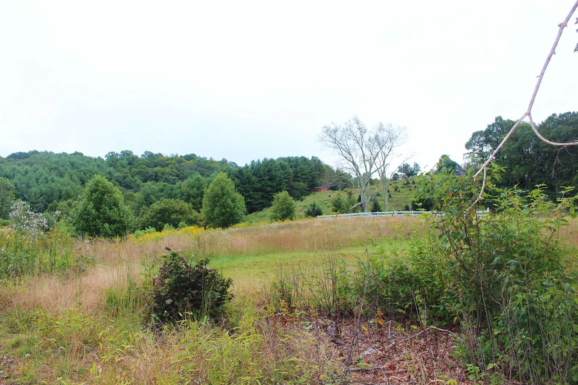 Image number 2 for the current listing