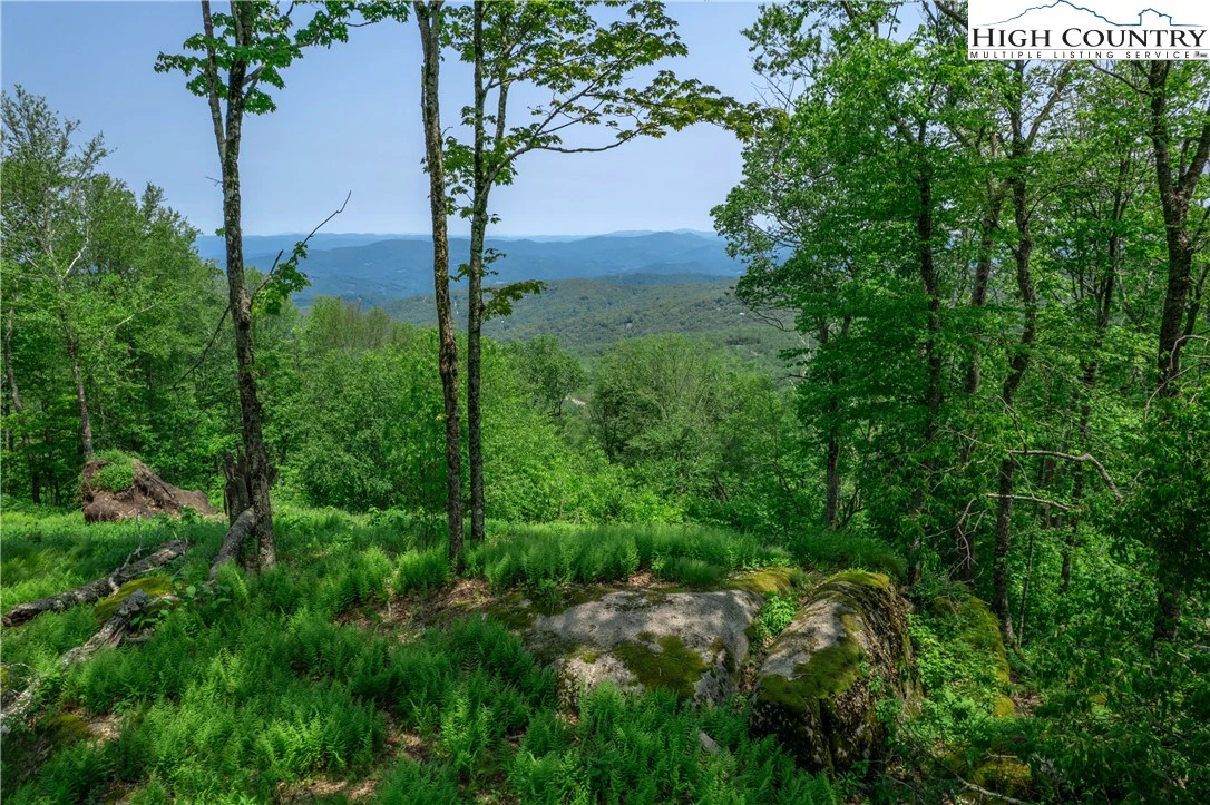 Image number 1 for the current listing