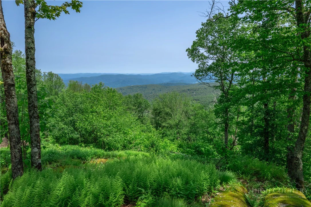 Image number 3 for the current listing