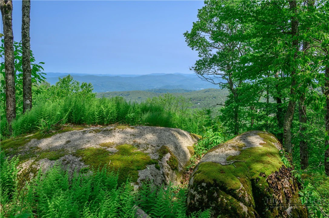 Image number 4 for the current listing