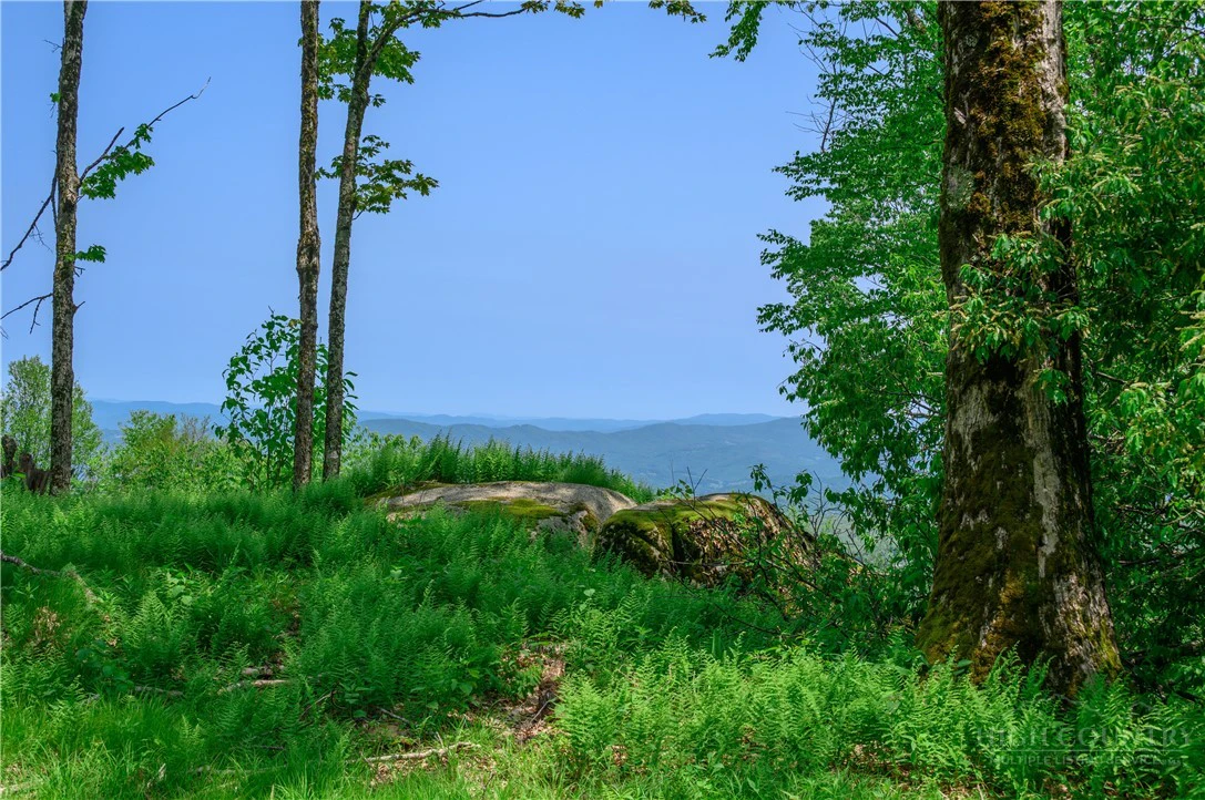 Image number 5 for the current listing