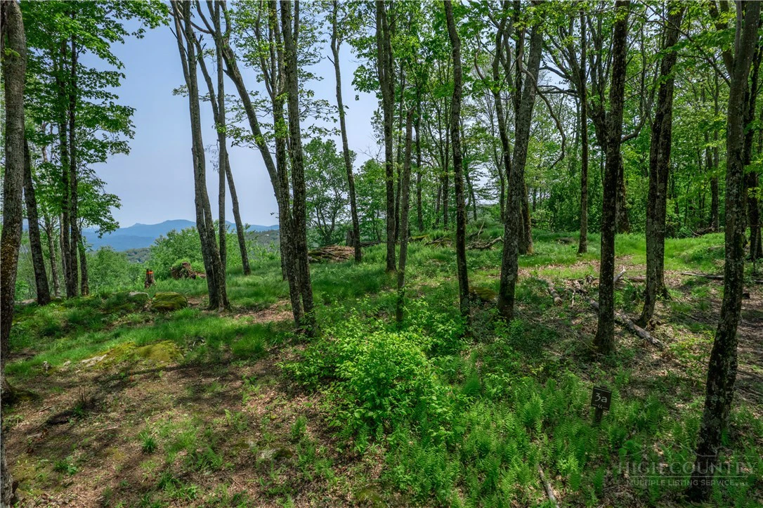 Image number 6 for the current listing