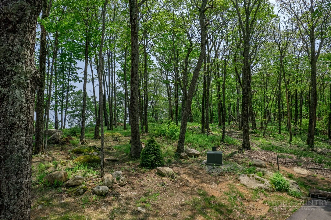 Image number 7 for the current listing