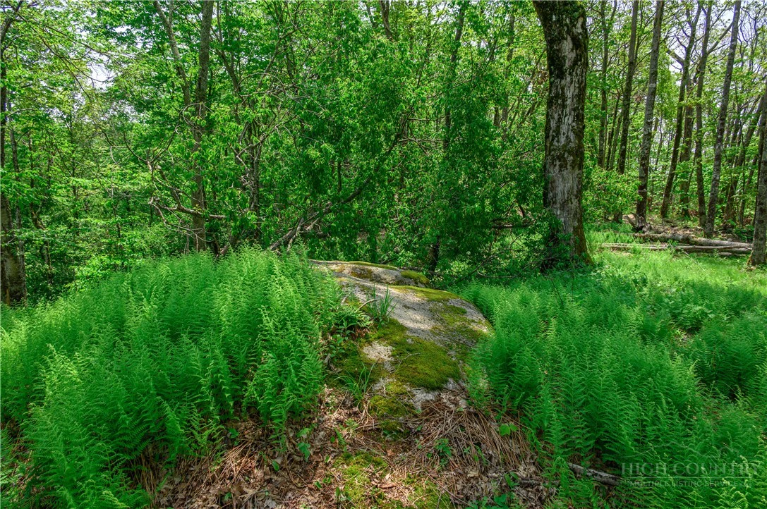 Image number 10 for the current listing