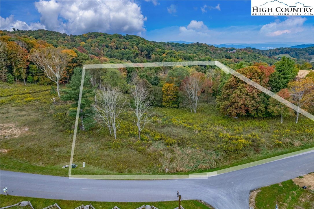 Image number 1 for the current listing