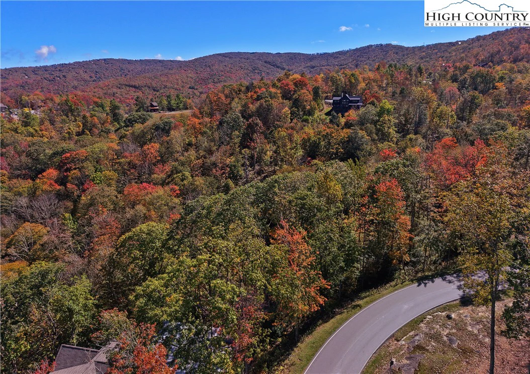 Image number 1 for the current listing