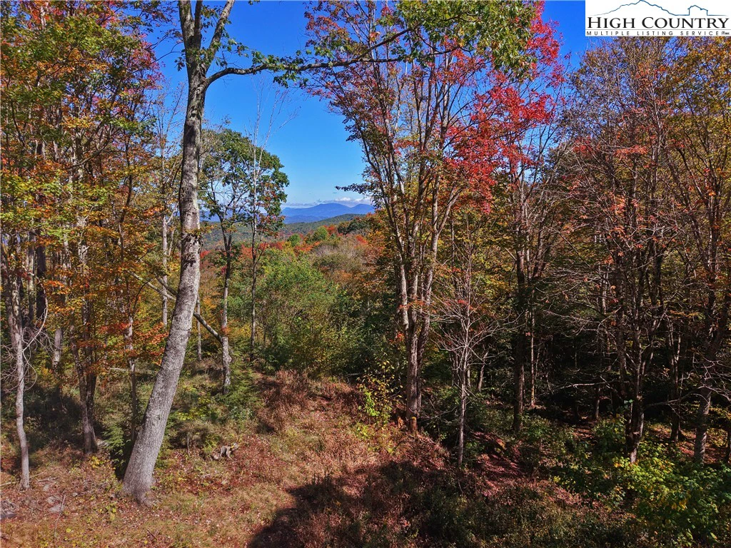 Image number 29 for the current listing