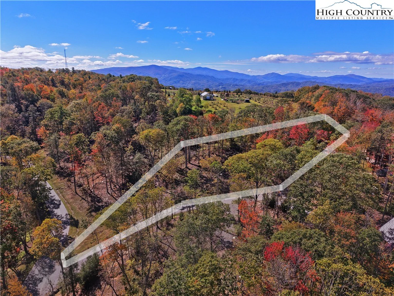 Image number 1 for the current listing