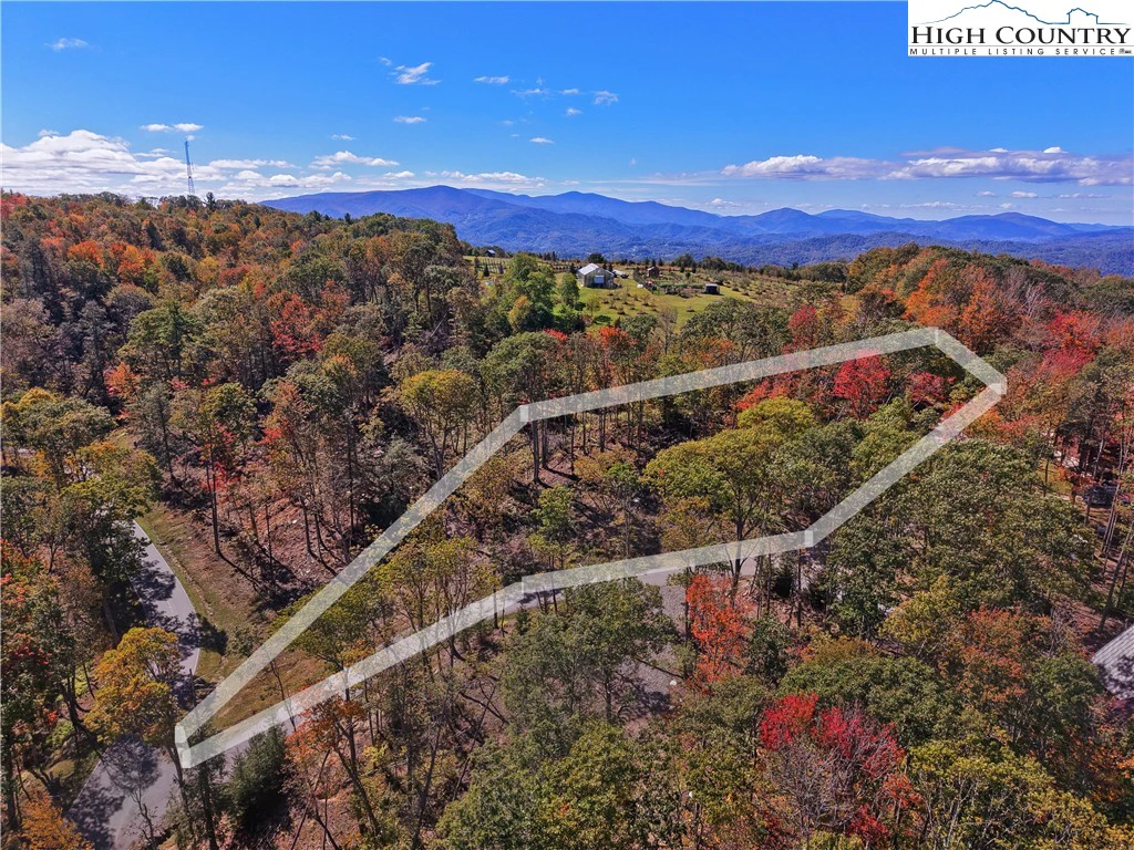 Image number 1 for the current listing
