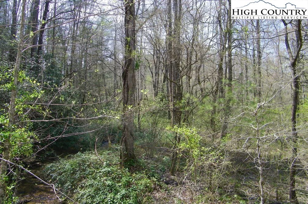 Image number 1 for the current listing
