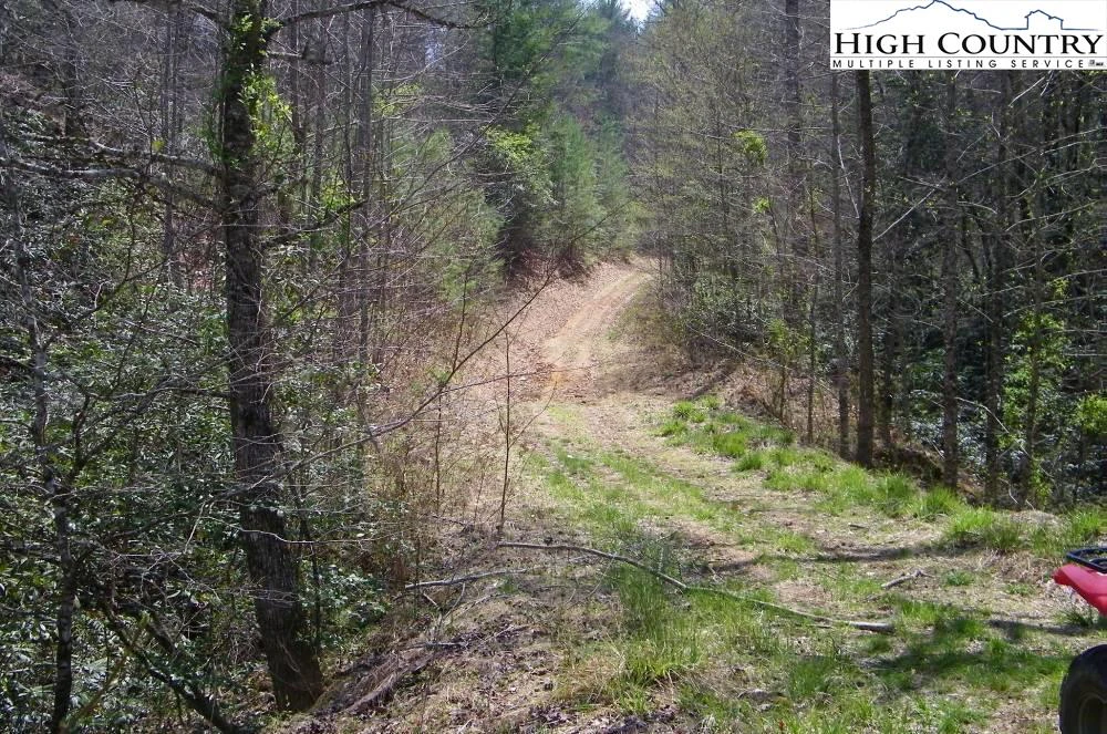 Image number 3 for the current listing
