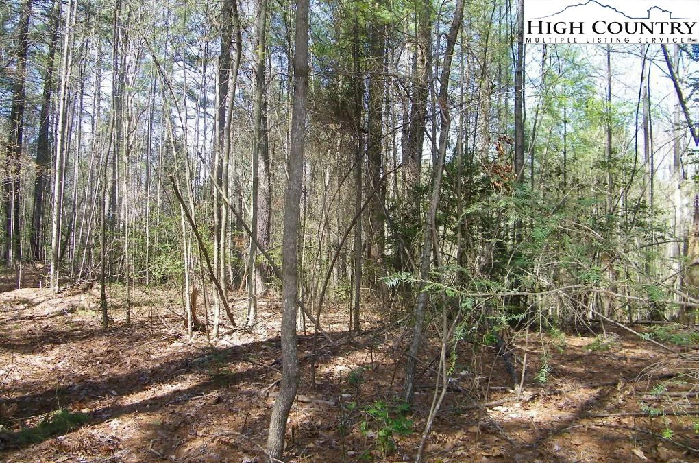Image number 6 for the current listing
