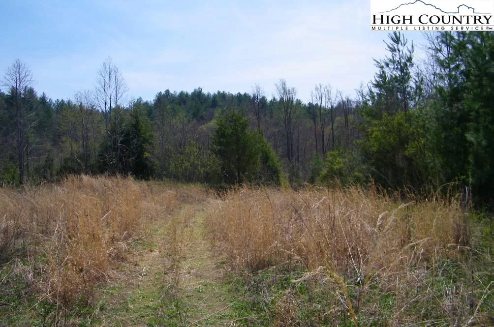 Image number 8 for the current listing
