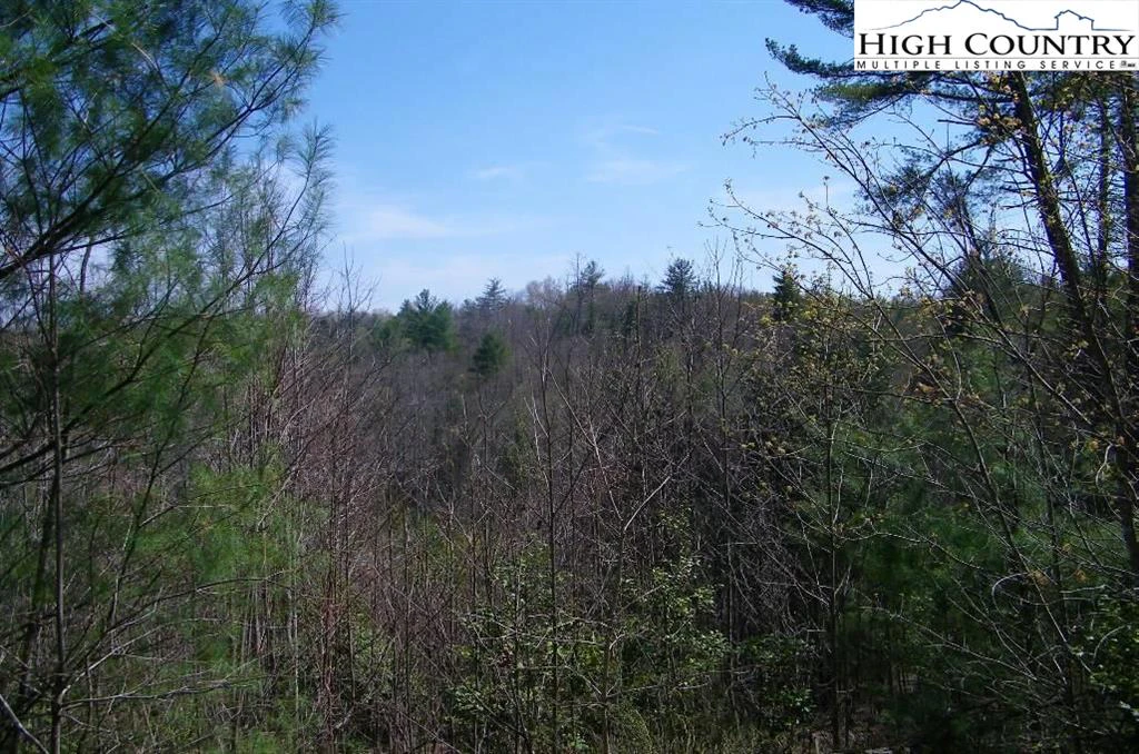 Image number 9 for the current listing