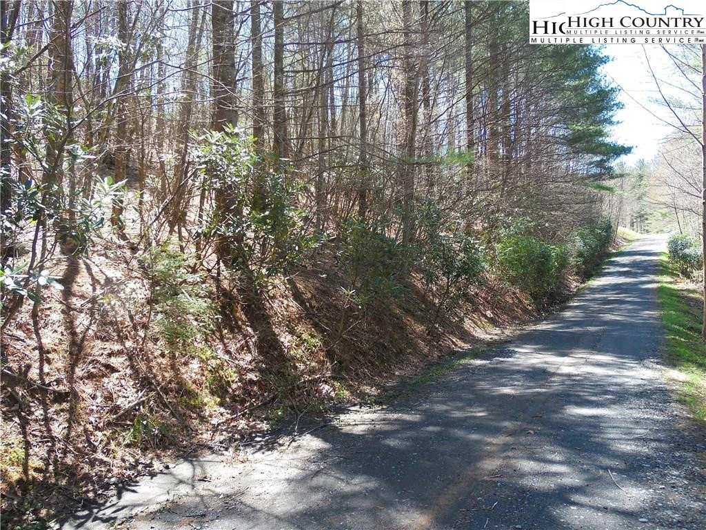 Image number 1 for the current listing