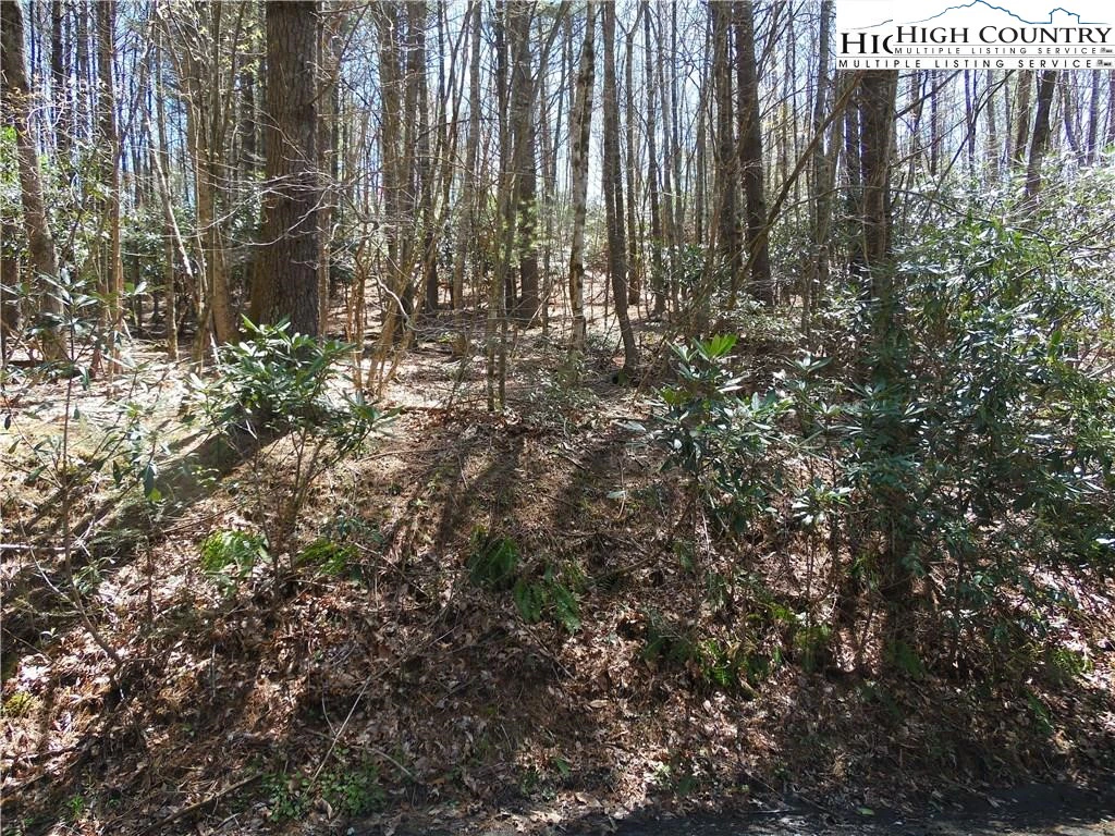 Image number 3 for the current listing