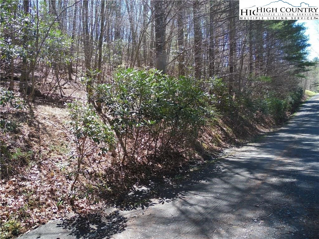 Image number 5 for the current listing