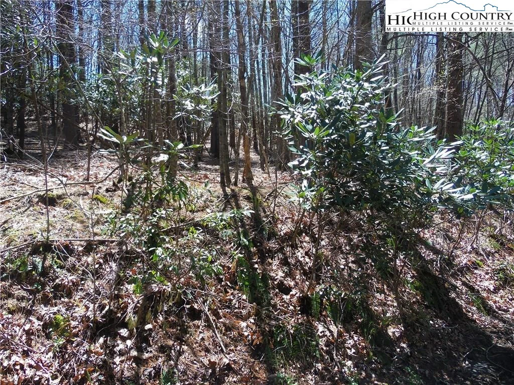 Image number 6 for the current listing