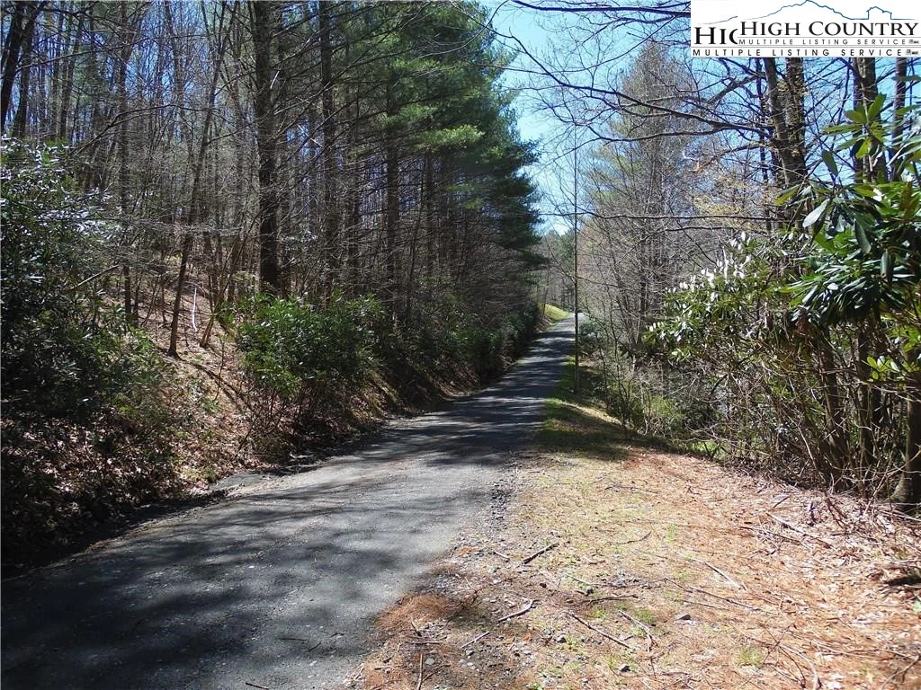 Image number 7 for the current listing