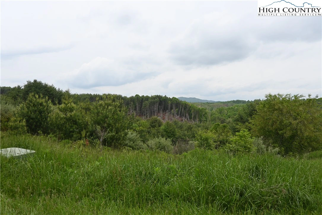 Image number 1 for the current listing